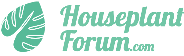Houseplant Forum | The Indoor Plant Community